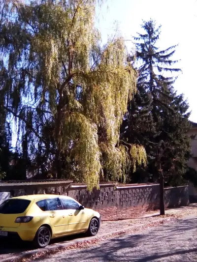 Професионална гимназия "Ген. Владимир Заимов"