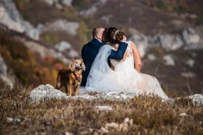 ST-Wedding