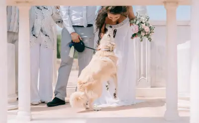 Yasen Georgiev. Wedding Photographer Varna
