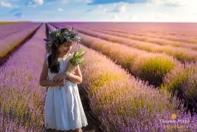 Tihomir Mitev Photography - Сватбен, детски и портретен фотограф