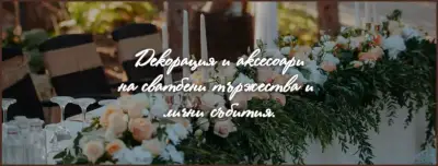 Stelisimo Decor