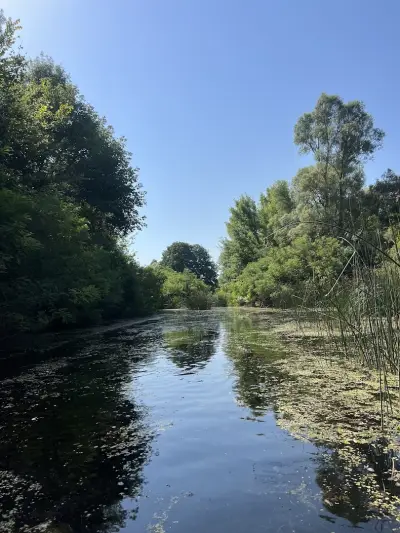 Kayak Safaris BG