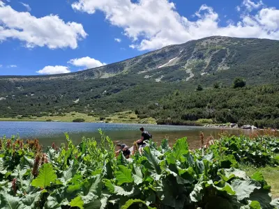 Split The Mountain