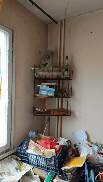 Почистване Хамали