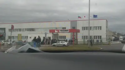 „Язаки България” ЕООД