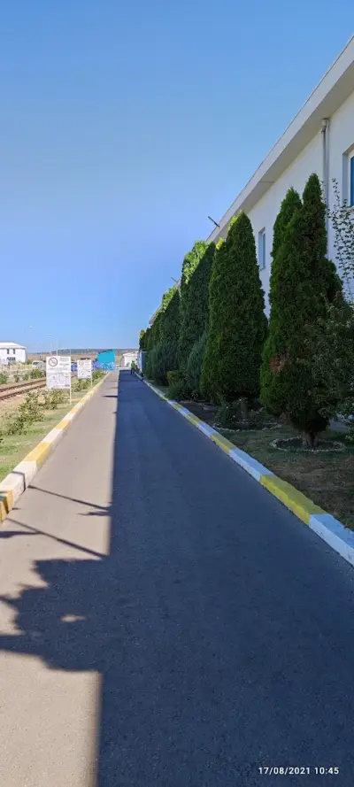 Пашабахче България ЕАД