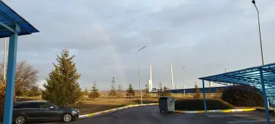 Пашабахче България ЕАД