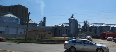 Олива АД