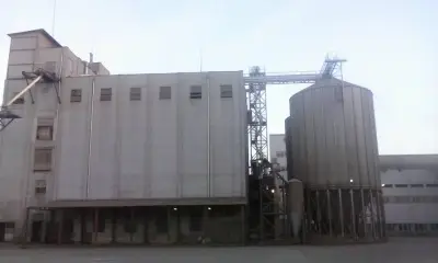 Олива АД
