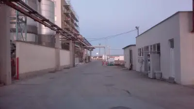 Панхим