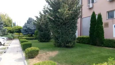 Панхим