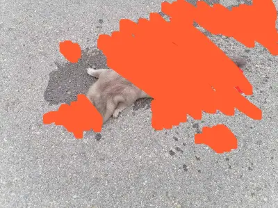 ГРАДУС 1