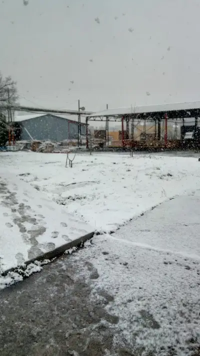 Средна гора АД