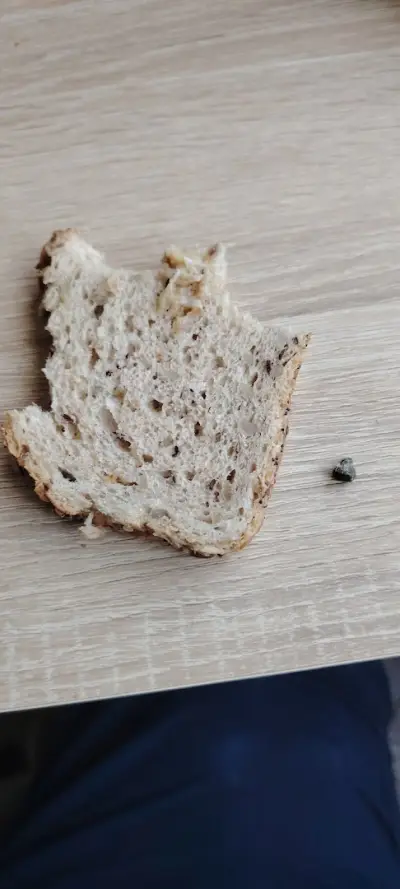 Симид София ООД