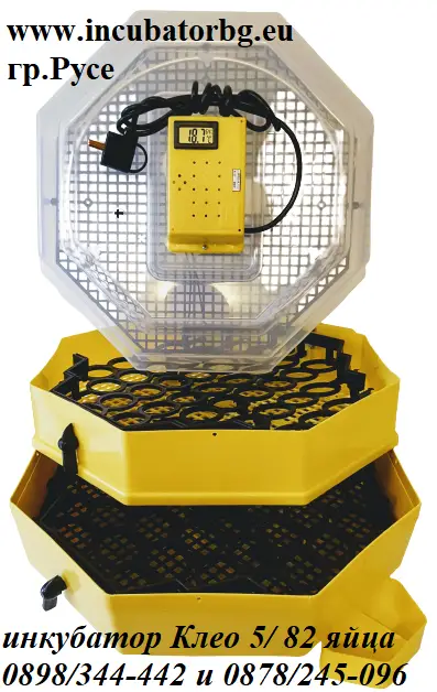 Incubatorbg