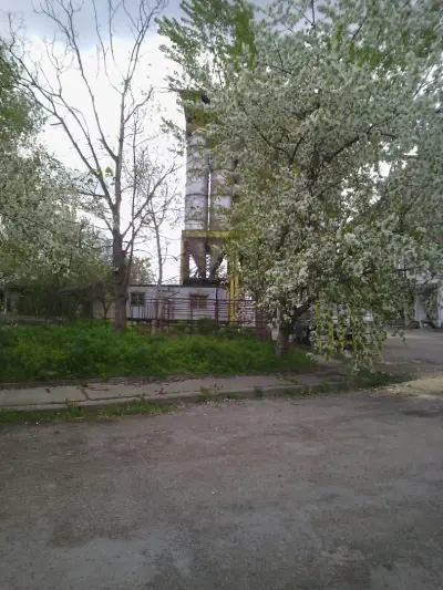 Устрем ООД