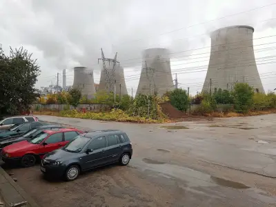 Устрем ООД