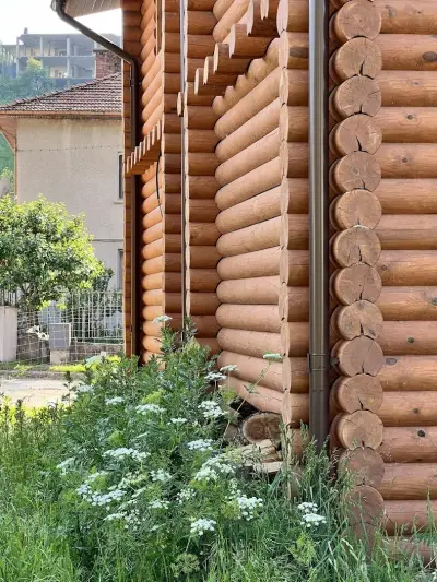 Wood House - Inspired by Nature (Офис)