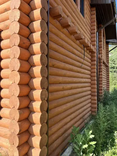 Wood House - Inspired by Nature (Офис)