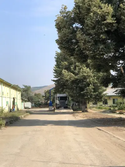 Грейнстор Фийд