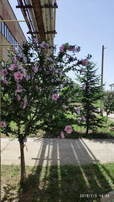 Минералкомерс АД