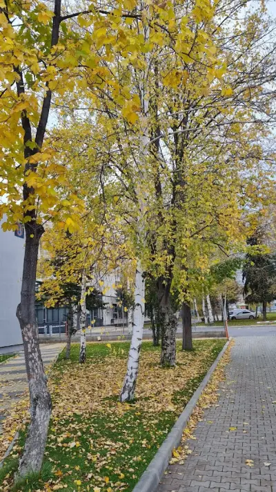 Vetprom Bulgaria