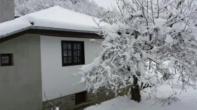 Klisarova House