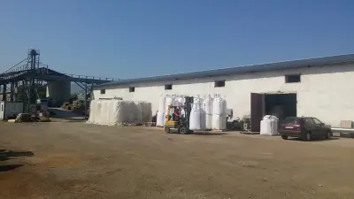 Балкан Райс