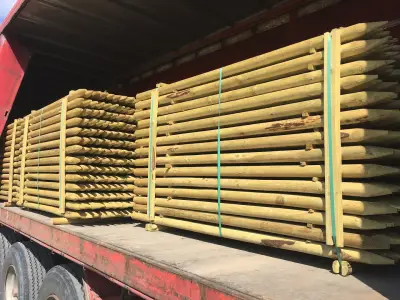 "ПЕЙЧИНОВ" ООД / Peychinov Ltd.
