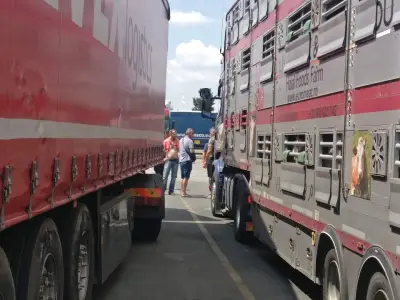 Славянка АД