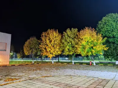 ГРАММЕР