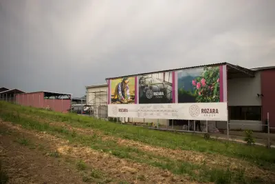 Srednogorska Roza Distillery