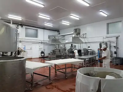 ЖОСИ