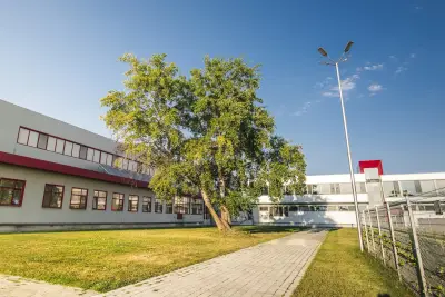 KT INTERNATIONAL SA