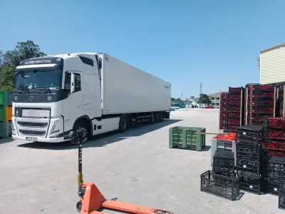 Peltina LTD