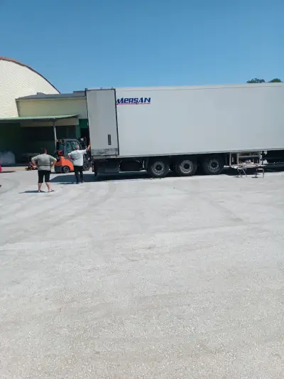 Peltina LTD