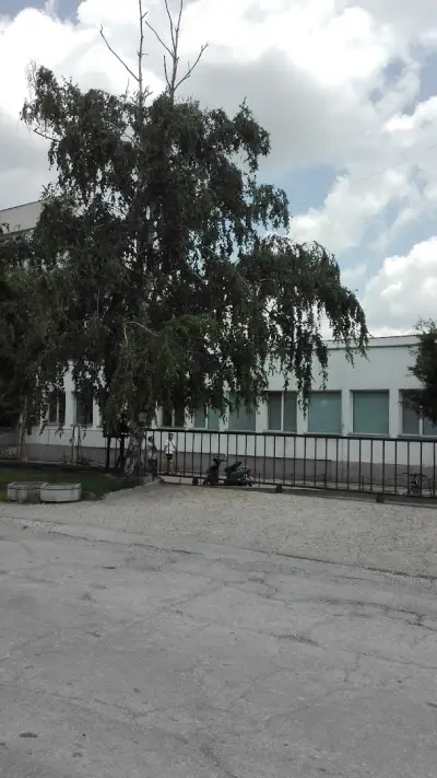 ЯНА