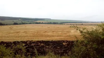 АВИС ЕООД