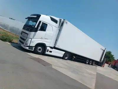 АВИС ЕООД