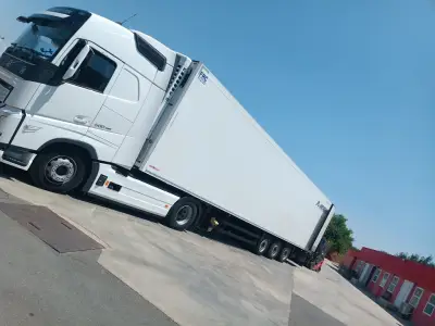 АВИС ЕООД