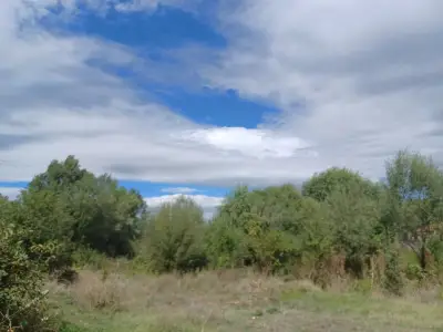 Фабрика за вода Драгойна