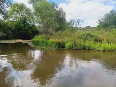 Фабрика за вода Драгойна