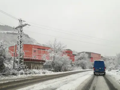 Елит мес Минев - Родопа
