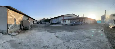 Елидис