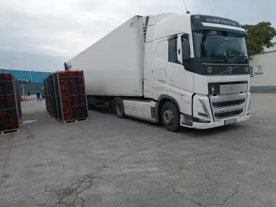 КОНЕКС-ТИВА