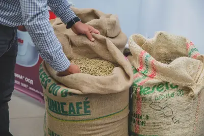 European Coffee Experts Coffee Factory - фабрика за кафе