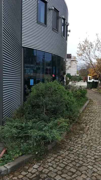 Европа