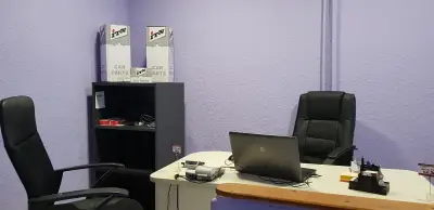 AutoMix