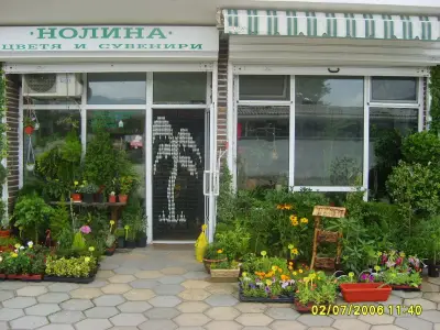 Магазин за цветя "Нолина"