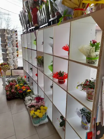 Работилница за желания Далия